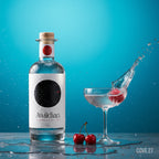 Awildian Coromandel Dry Gin