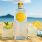 Little Biddy Zest Gin