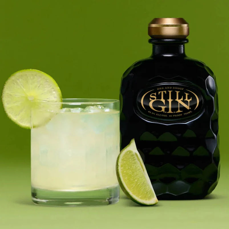 STILL G.I.N. by Dre & Snoop Dogg