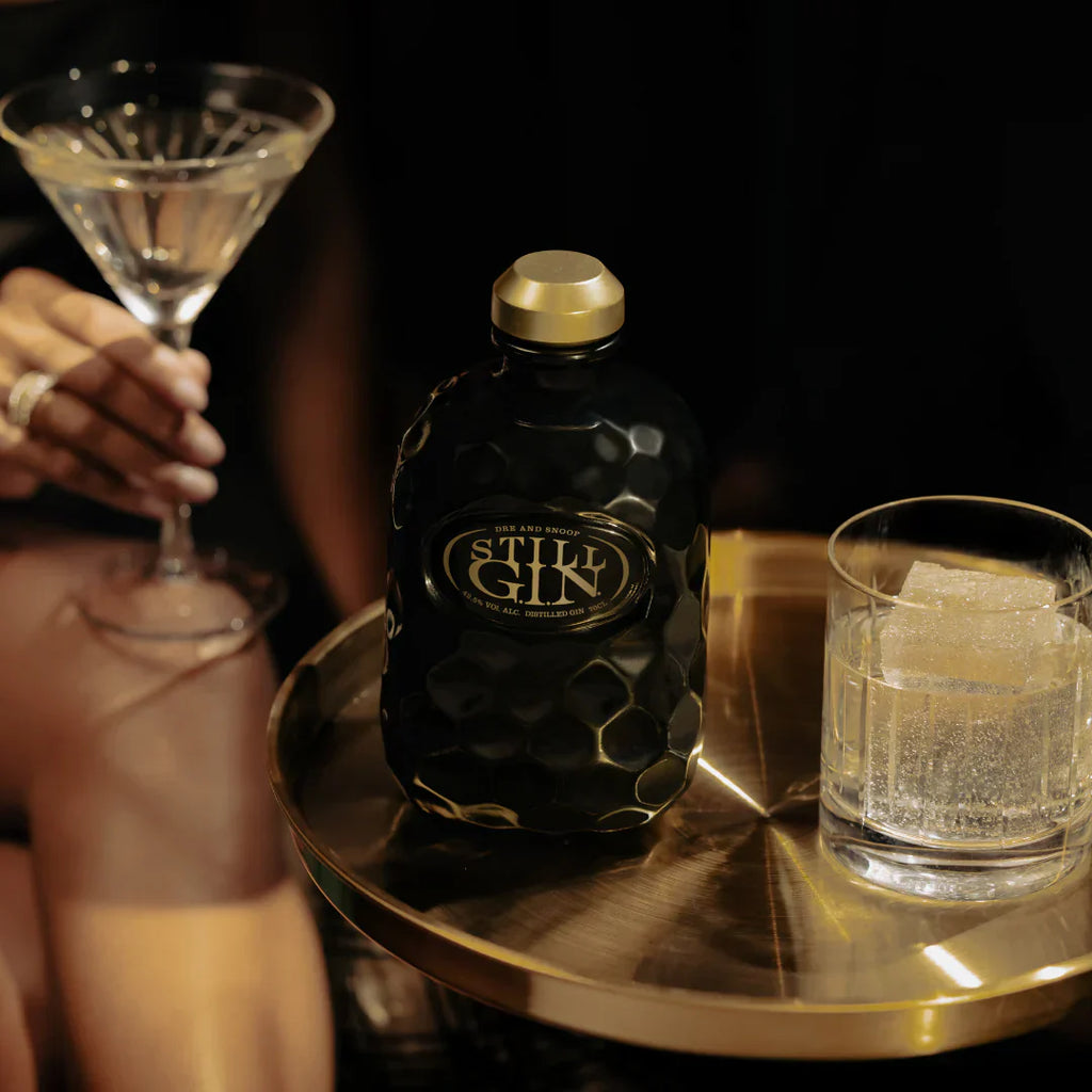 STILL G.I.N. by Dre & Snoop Dogg