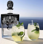 Satryna Blanco Premium Tequila