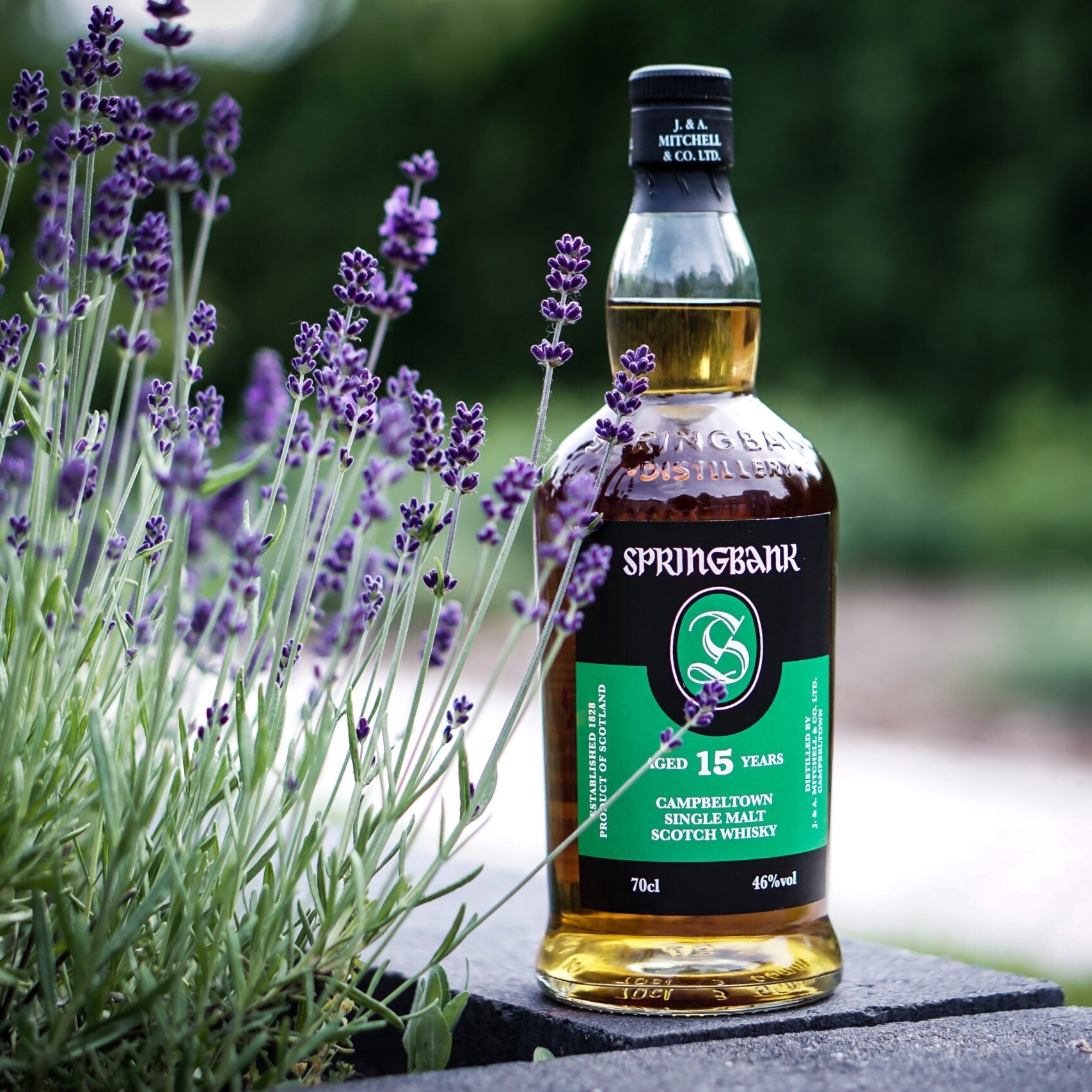 Springbank 15YO Single Malt Whisky